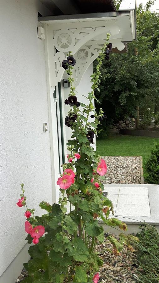 Ferienhaeuser Salzhaff-Romantik Tessmannsdorf Ngoại thất bức ảnh