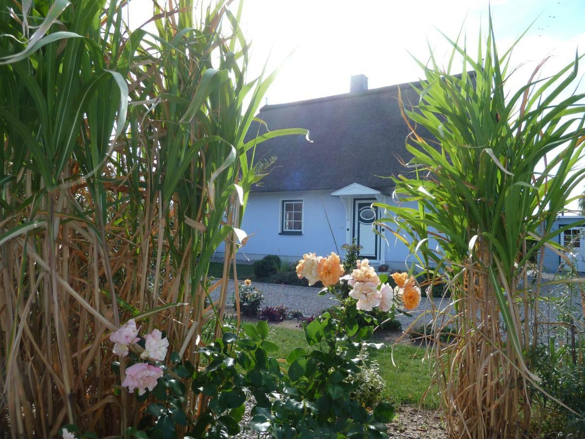 Ferienhaeuser Salzhaff-Romantik Tessmannsdorf Ngoại thất bức ảnh